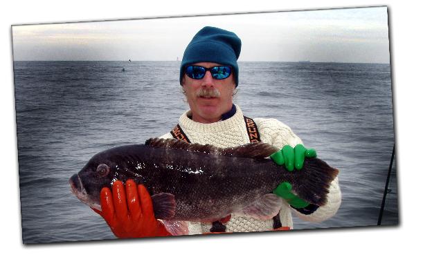 Bob Sullivam catches
                      a nice 12 lb 6oz Tautog off the wrecks!