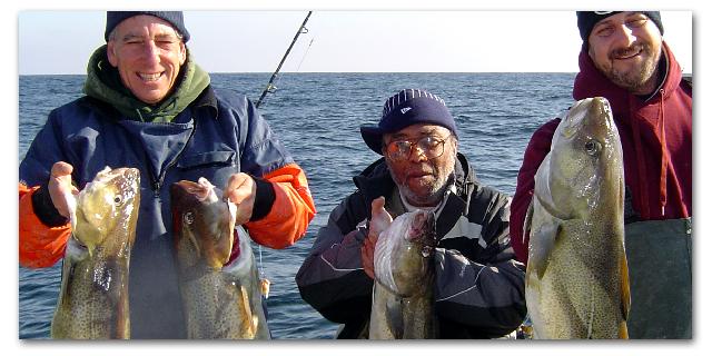 New COD fishing trips yields some nice keepers!  Yum!