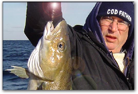 Offshore fishing for
                      cod lands another one for the cooler