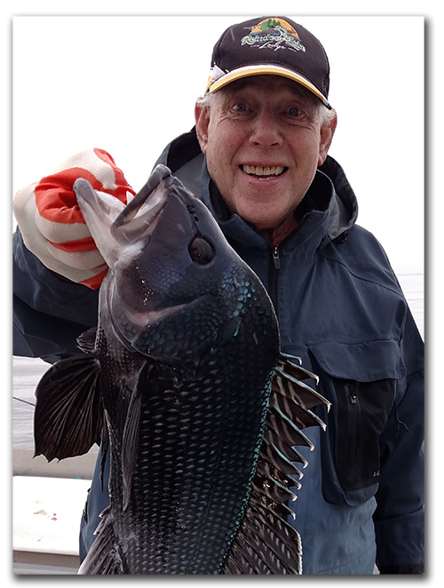 Offshore fishing for
                      black Sea Bass LI NY