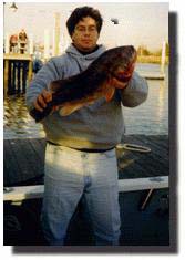 Blackfish/TOG to 14lbs!