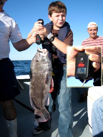 Now that's
                      a big blackfish!